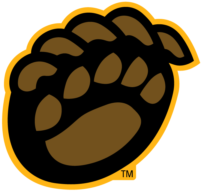 Baylor Bears 2005-Pres Alternate Logo v8 diy iron on heat transfer